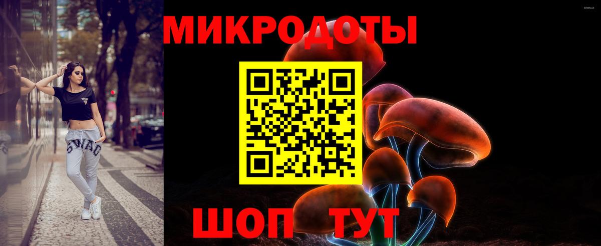 Псилоцибиновые грибы мицелий Валуйки